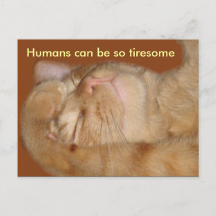 Carte Postale Chat Sarcastique - Les Humains Peuvent Être Si Tri