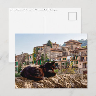 Carte Postale Chat se prélassant sur un mur - Valldemossa, Mallo