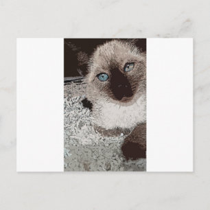 Carte Postale Chat siamois animal de compagnie familier ami art