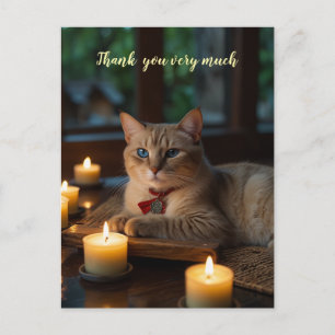 Carte Postale Chat siamois au spa merci beaucoup 