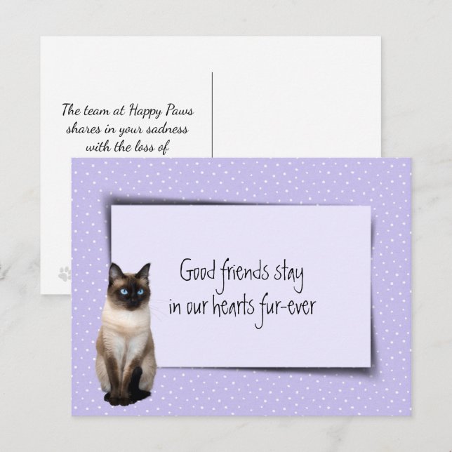 Carte Postale Chat siamois perte de compagnie de vétérinaire (Devant / Derrière)