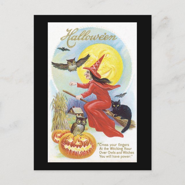 Carte Postale Chat, sorcière et hibou noir d'Halloween (Devant)