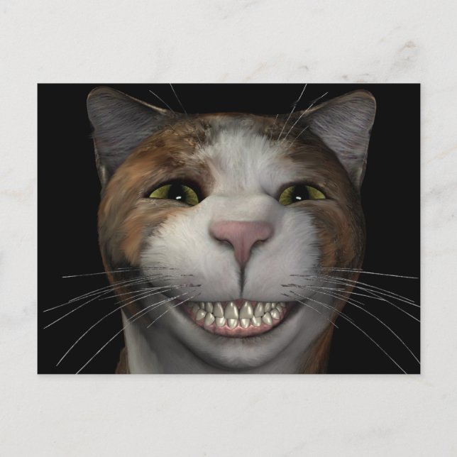 Carte Postale Chat souriant (Devant)