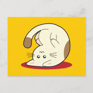 Carte Postale Chat supérieur