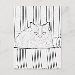 Carte postale - Chat sur Chaise Rayée à Colorier