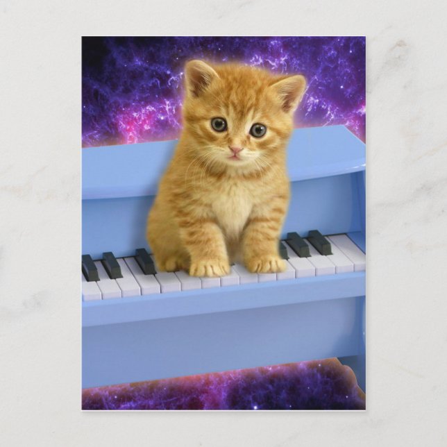 Carte Postale Chat sur le piano bleu (Devant)