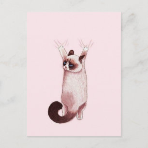 Carte Postale Chat suspendu