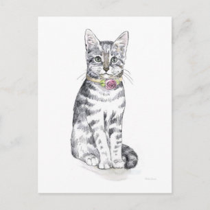 Carte Postale Chat Tabby Fancy