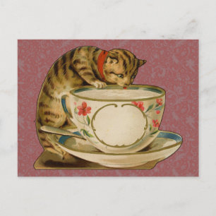 Carte Postale Chat Tasse à Thé Mignon Vintage Victorien Animal C