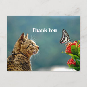 Carte Postale Chat tigré mignon Photo Papillon Merci