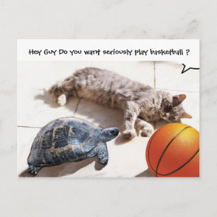 CARTE POSTALE CHAT, TORTUE ET BASKETBALL