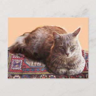 CARTE POSTALE CHAT TURC SUR LE VIEUX TAPIS