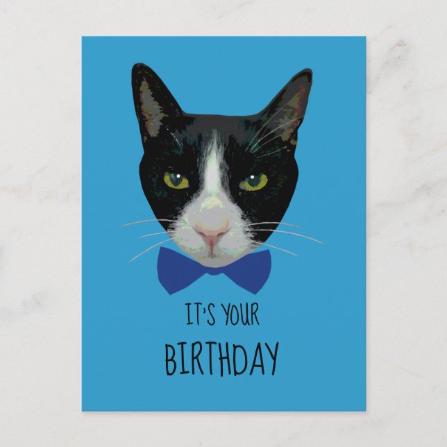 Carte Postale Chat Tuxedo noir et blanc - C'est votre anniversai (Devant)