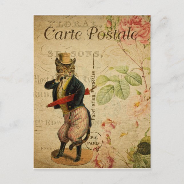 Carte Postale. Chat vintage. (Devant)
