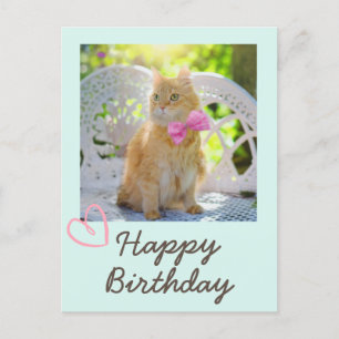 Carte Postale Chat Vintage dans le Ruban et Joyeux Anniversaire 