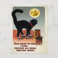Chat vintage et Lune