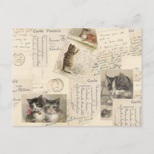 Carte postale Chat vintage French Kitten