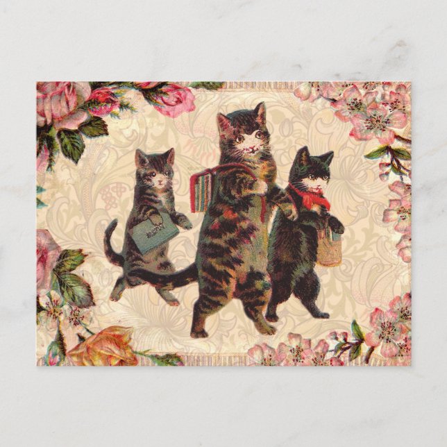 Carte Postale Chat Vintage jolie chatons antiques chatons (Devant)