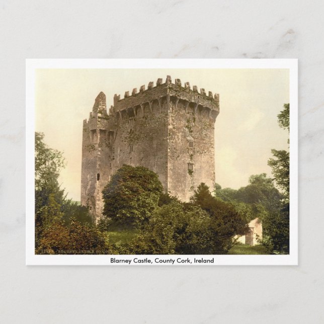 Carte Postale Château de Blarney, Cork, Munster, Ireland (Devant)