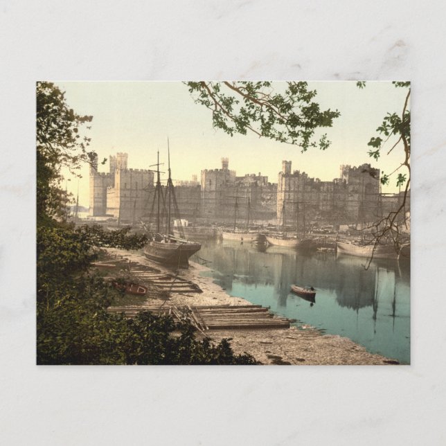 Carte Postale Château de Caernarfon, Galles, Galles (Devant)