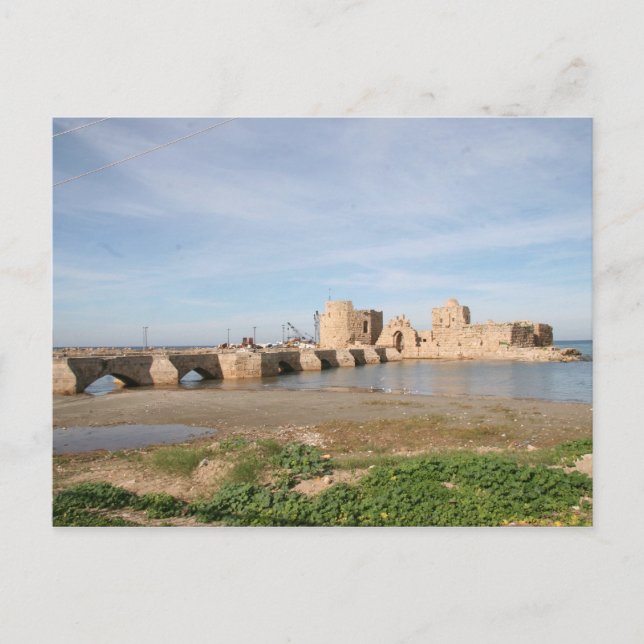 Carte Postale Château de la mer de Saida (Devant)
