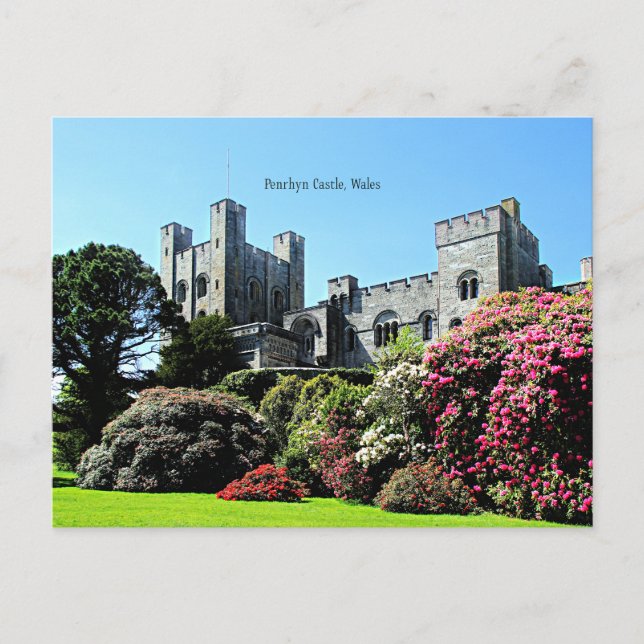 Carte Postale Château de Penrhyn, Pays de Galles (Devant)
