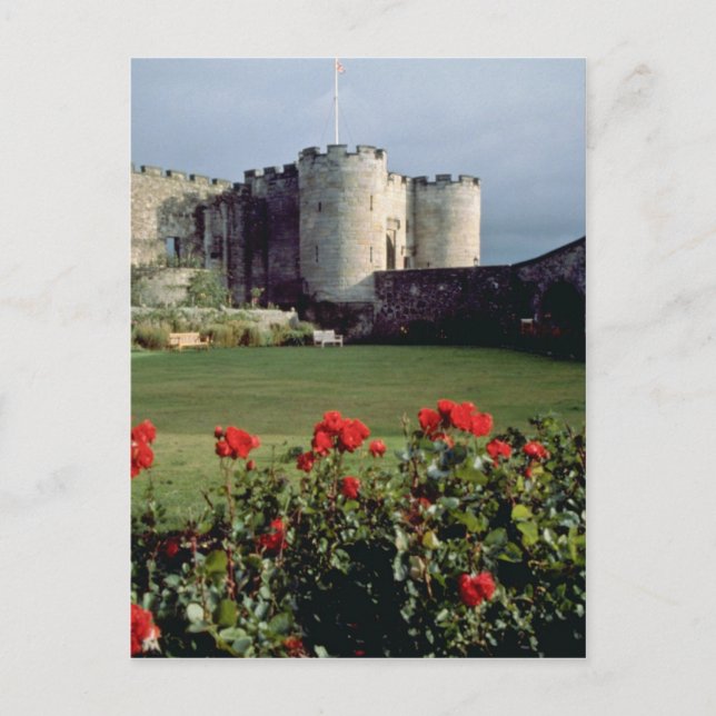 Carte Postale Château de Stirling, fleurs écossaises (Devant)