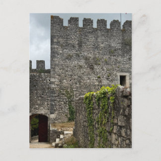 Carte Postale Château Historique Portugal Photographie Voyage