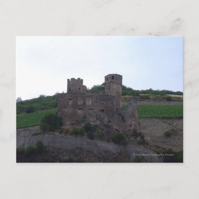 Carte Postale Château sur le Rhin (Devant)