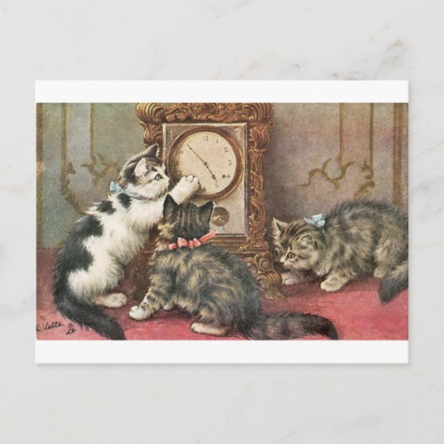 Carte Postale Chaton (Devant)