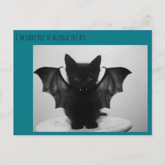 Carte Postale chaton (Devant)