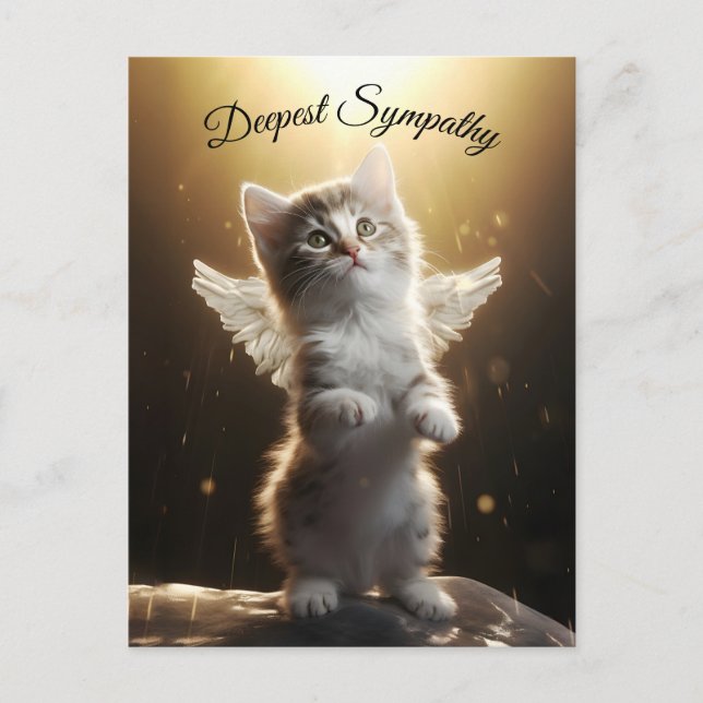 Carte Postale Chaton ange (Devant)