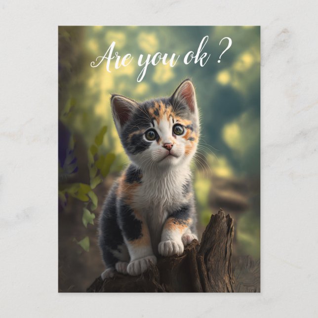 Carte Postale Chaton calico adorable est inquiet (Devant)
