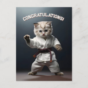 Carte Postale Chaton de karaté