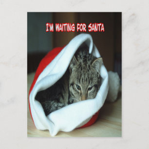Carte Postale Chaton de Noël