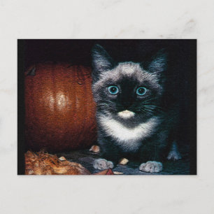 Carte Postale Chaton et citrouille pour Halloween