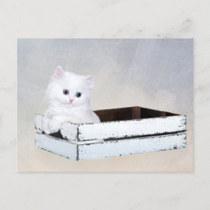 Carte Postale Chaton persan blanc