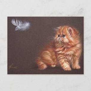 Carte Postale Chaton persan et plumes