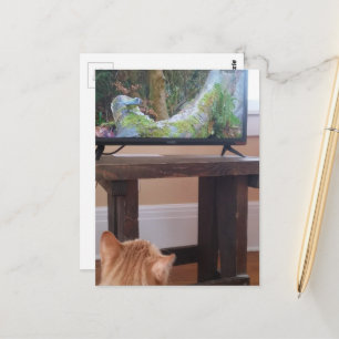 Carte Postale chaton roux adorable regardant la télévision