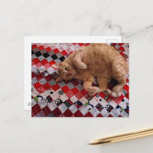 Carte Postale Chaton roux endormi sur un édredon rouge