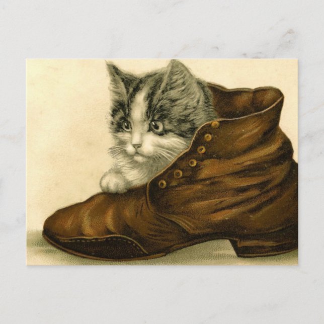 Carte Postale Chaton vintage en chaussure (Devant)