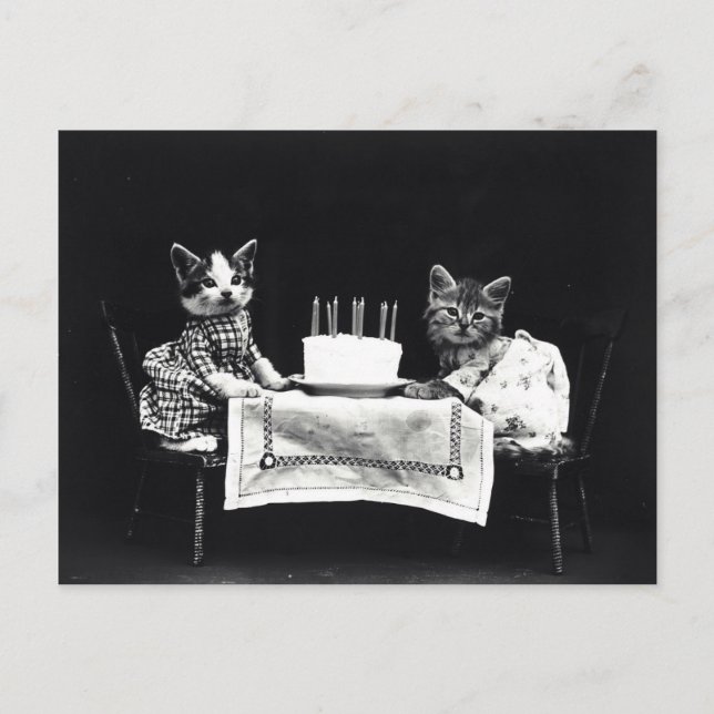 Carte Postale Chatons anniversaire vintage (Devant)