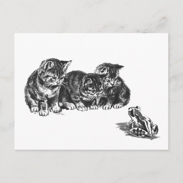 Carte Postale Chatons et un crapaud par Ernest Nister - chat vin (Devant)