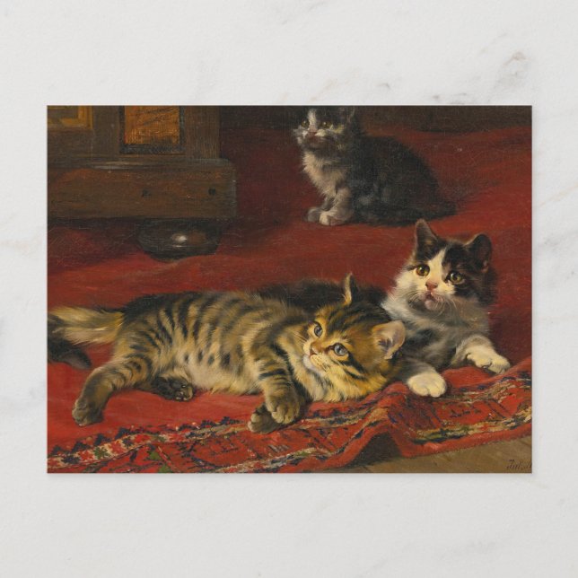 Carte Postale Chatons | Julius Adam le Jeune (Devant)