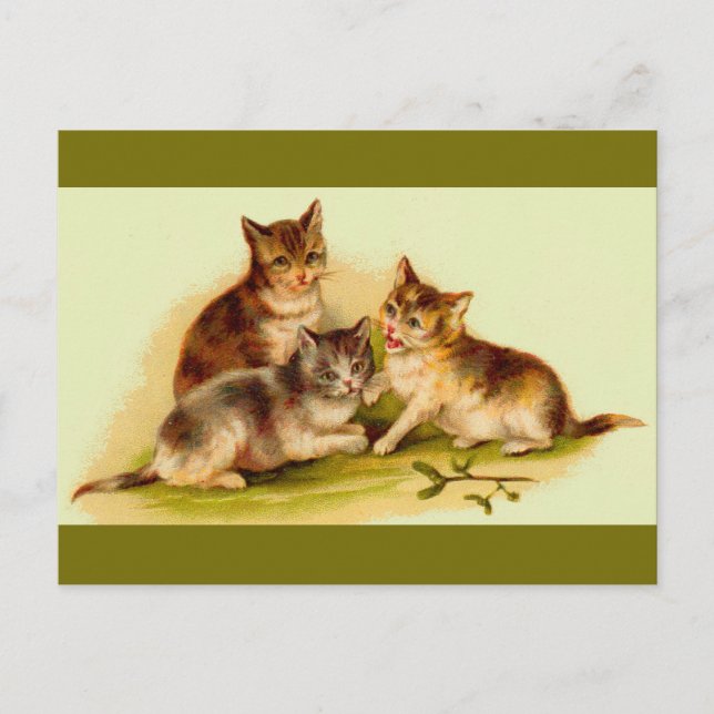 Carte Postale chatons victoriens (Devant)