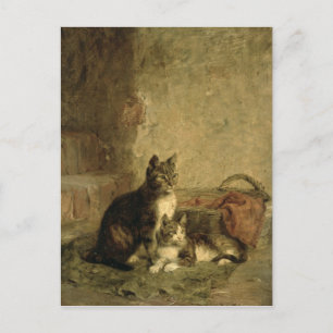 Carte Postale Chats, 1883