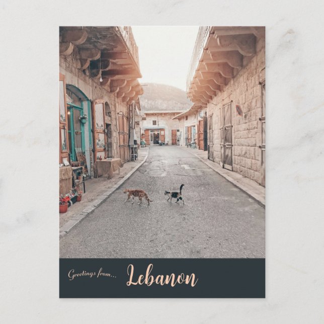 Carte Postale Chats à Douma Liban (Devant)