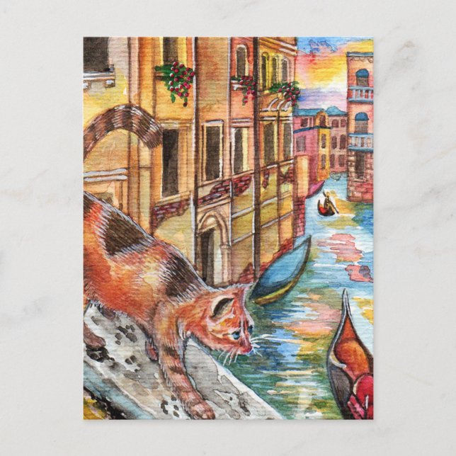 Carte Postale Chats À Venise (Devant)