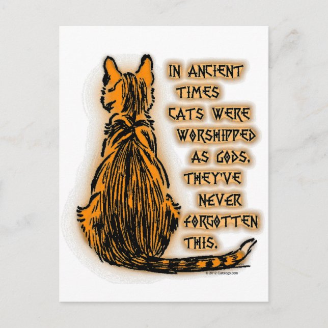 Carte Postale Chats adorés comme dieux (Devant)