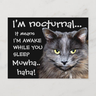 Carte Postale Chats Badass